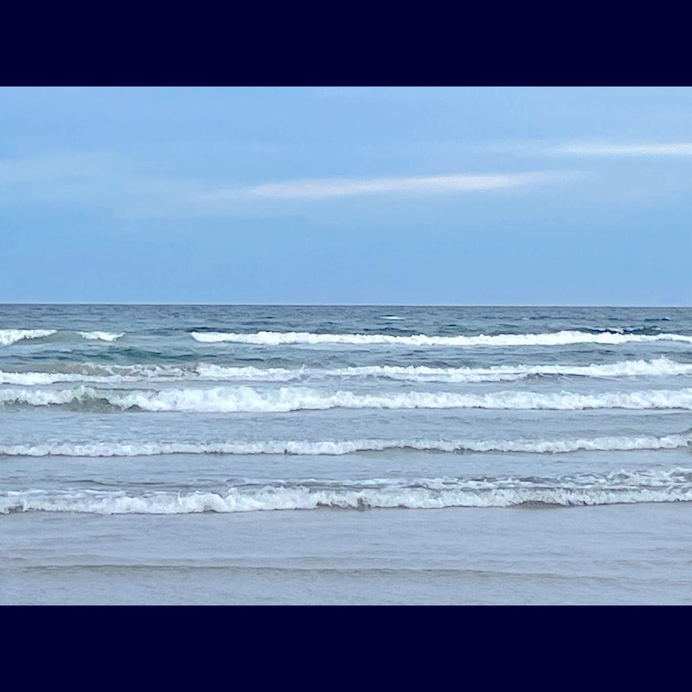 Meet your Posher, Charlene